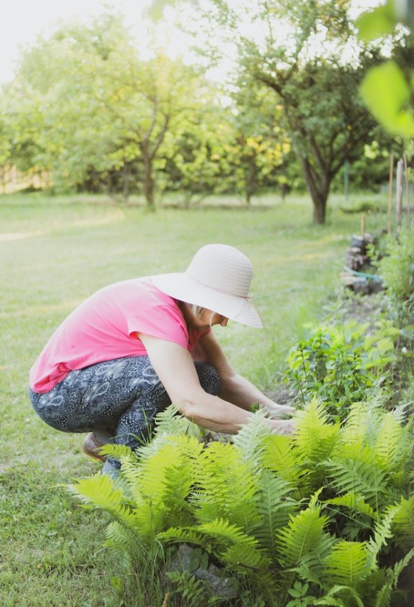 Bepflanzung rund um den Gartenteich: Eine natürliche Wasserlandschaft schaffen